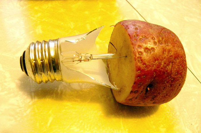 potato light bulb