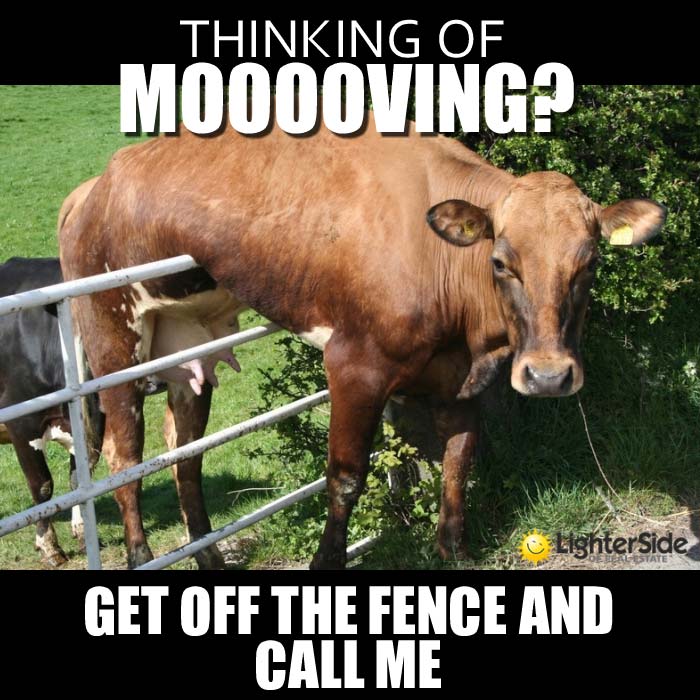 1 get off the fence