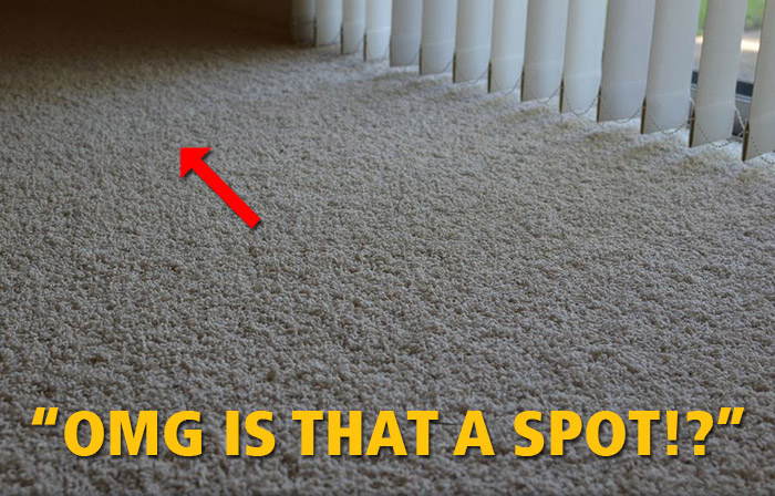 13-carpet-spot