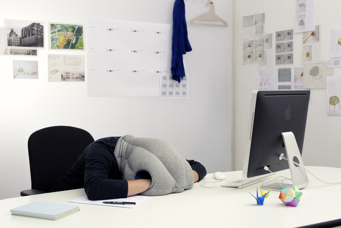 17-ostrichpillow