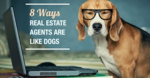 8 things agents dogs