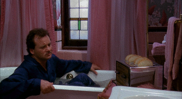 bill murray toaster bathtub